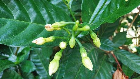 《给他爱5》过去三个月又卖了500万 总销量超1.65亿