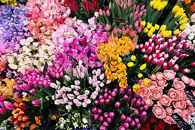 《龙之信条2》龙选者职业演示 能灵活使用所有武器